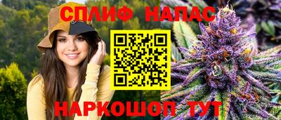прущие грибы Ливны