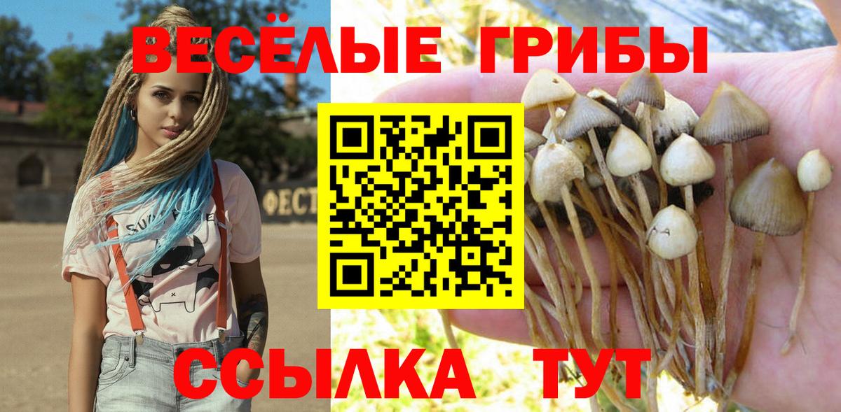 Псилоцибиновые грибы GOLDEN TEACHER Холмск