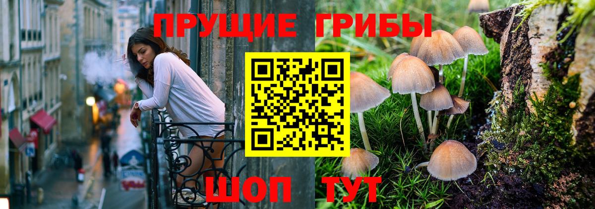 Галлюциногенные грибы MAGIC MUSHROOMS  Вход с VPN  Холмск 